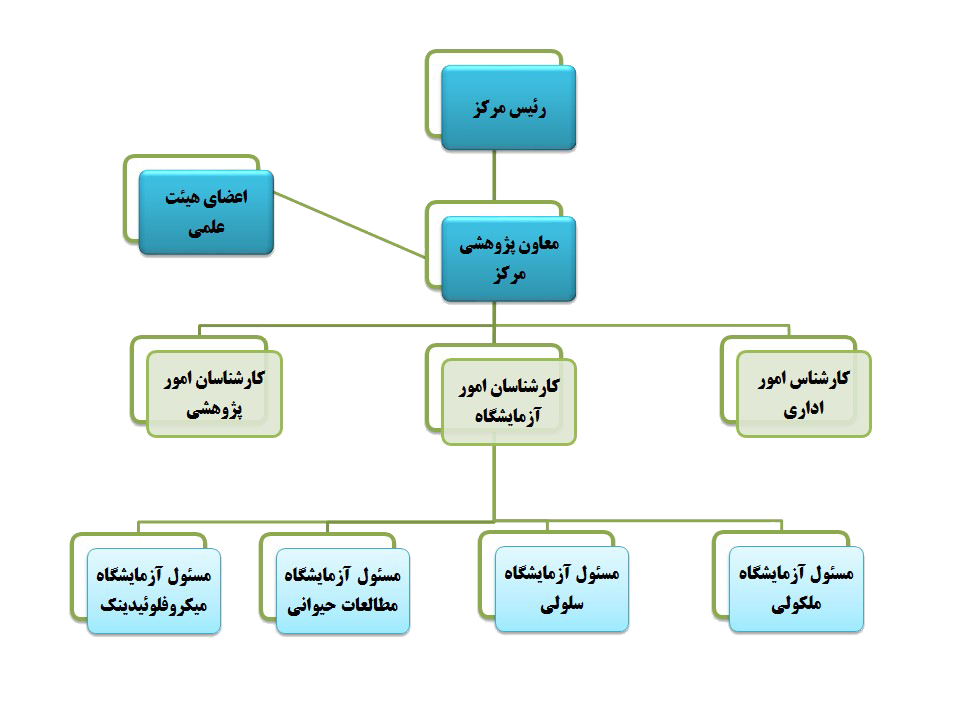 چارت سازمانی